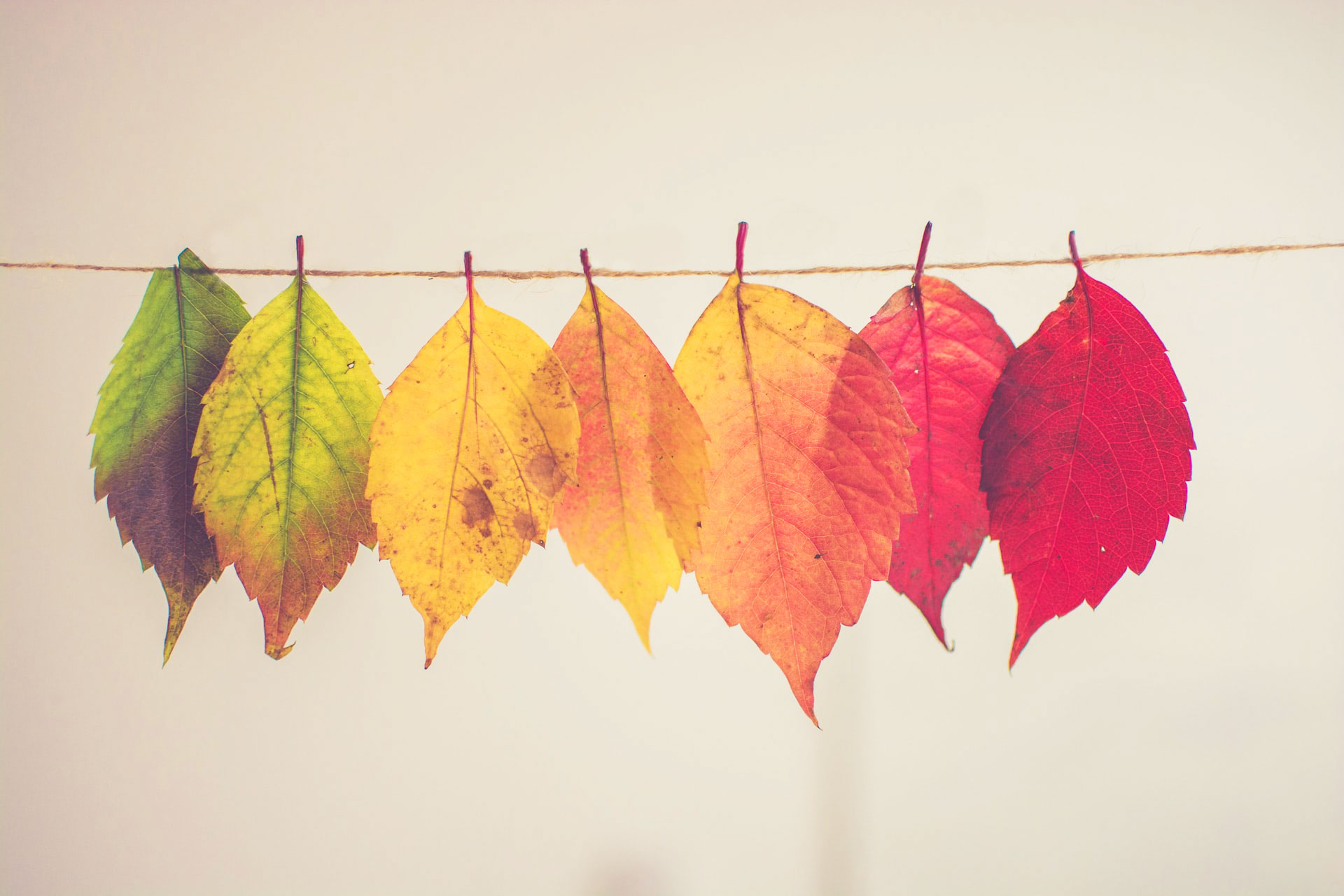 color in nature