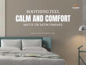 Optimising Your Space: The Best Interior Paints for Homes and Every Room
