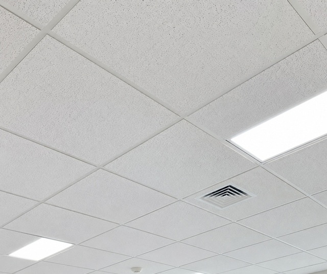 professional acoustical ceiling services